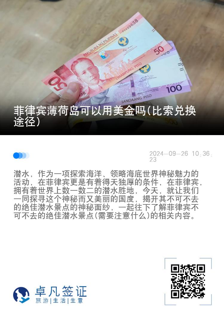 菲律宾薄荷岛可以用美金吗(比索兑换途径)