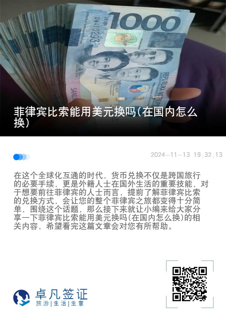 菲律宾比索能用美元换吗(在国内怎么换)
