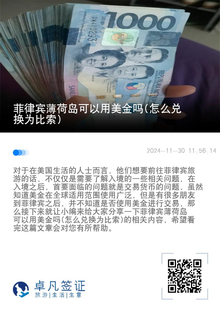 菲律宾薄荷岛可以用美金吗(怎么兑换为比索)